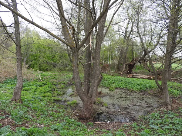 Moskova bölgesinde Grebnevo emlak, bina ve kiliseler Park tasarım elemanları.