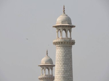 Yakın çekim ayrıntılı Taj Mahal, ünlü tarihi UNESCO tarafından aşk anıt, Hindistan, Agra, Uttar Pradesh en büyük beyaz mermer mezar.