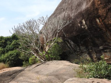 Sigiriya, Sri Lanka'nın Orta Eyaleti'nde bulunan antik bir kaya kalesidir. Sigiriya Kayası. Sri Lanka'da bir hedef.