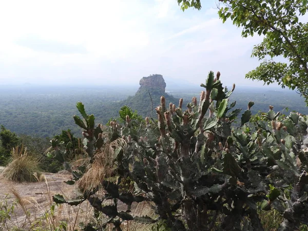 Pemandangan di gunung Pidurangala dari Batu Sigiriya atau panorama udara Sinhagiri, Dambulla di Sri Lanka . — Stok Foto