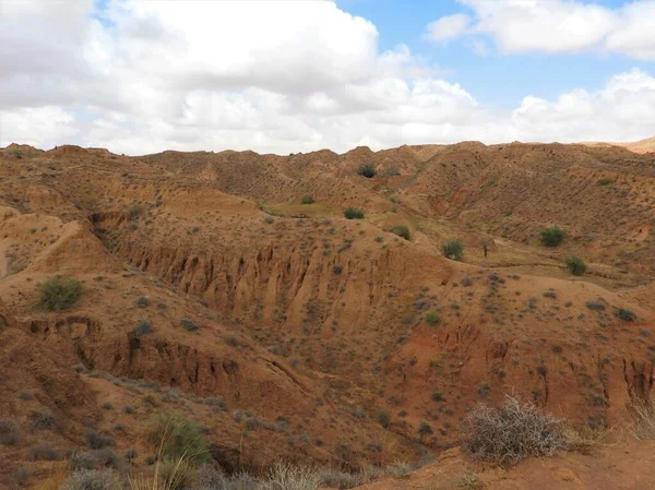 Paysage désert sensuel ciel clair, Sahara, Afrique . — Photo