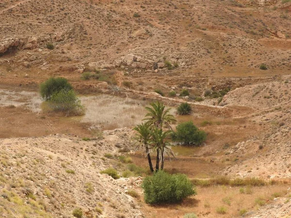 Tájkép fülledt sivatag tiszta nap, Szahara, Afrika. — Stock Fotó