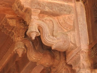 Jaipur, Rajasthan, Hindistan yakınlarındaki Amber Kalesi 'ndeki bir binanın tavanından sarkan eşek arısı kovanına yakın..