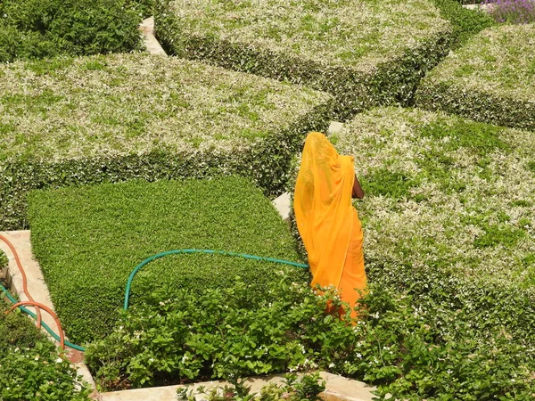 印度拉贾斯坦邦斋浦尔 琥珀堡院子里的花园 女人们从后面看去 正在奔跑 — 图库照片