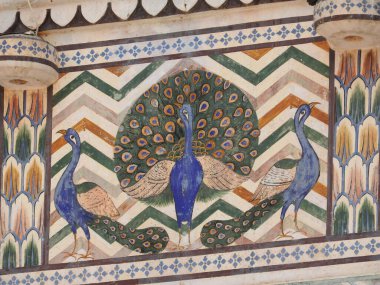 Jaipur, Rajasthan, Hindistan yakınlarındaki Amber Kalesi 'ndeki bir binanın tavanından sarkan eşek arısı kovanına yakın..