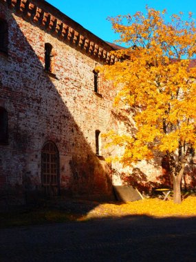 Gotik kalede altın peri masalı