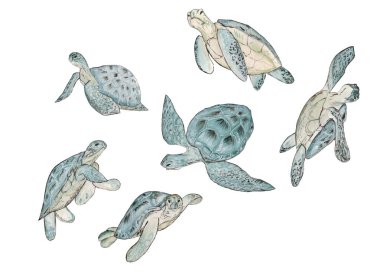 Beyaz arka plan üzerinde suluboya deniz kaplumbağası ile dikişsiz desen. Yaz egzotik baskı.