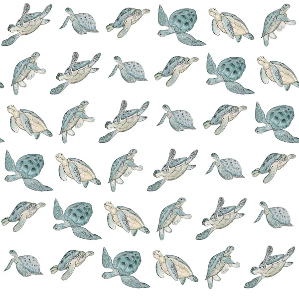 Seamless pattern with watercolor sea turtle on white background.Summer exotic print.