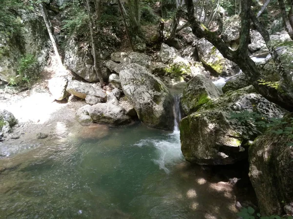 Bellissimo fiume nella natura forestale. Scale di pietra. Sfondo Bosco Verde Montagna — Foto Stock