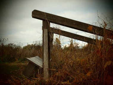 Altın sonbaharda merdiven göle giden yaprakları. Vyborg, Rusya Federasyonu