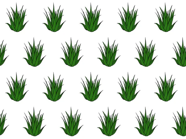 Nahtloses Muster mit tropischen, saftigen Pflanzen, Aloe Vera. Blumenvektorillustration auf weißem Hintergrund. — Stockvektor