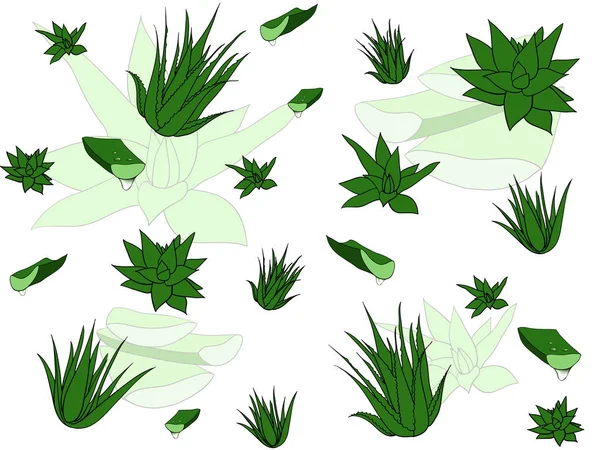 熱帯、多肉植物、アロエベラとシームレスなパターン。白い背景に花のベクトルイラスト. — ストックベクタ