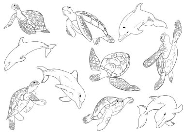 Arka planda izole edilmiş yüzme dophins ve kaplumbağa İllüstrasyon vektör seti