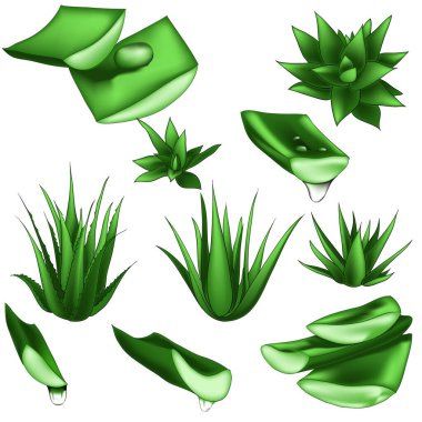 Kesik parçalı aloe vera seti. İzole edilmiş taze su damlaları.