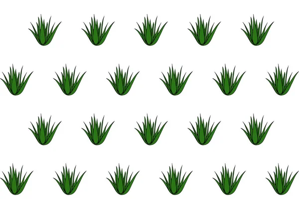 Nahtloses Muster mit tropischen, saftigen Pflanzen, Aloe Vera. Florale Illustration auf weißem Hintergrund. — Stockfoto