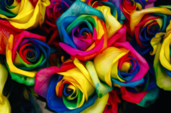 Ramo Rosas Todos Los Colores Del Arco Iris Los Brotes — Foto de Stock