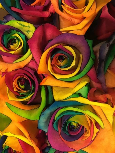 Bukiet Róż Płatkami Wszystkich Kolorów Tęczy Wielokolorowe Pąki Kwiatowe Zbliżenie — Zdjęcie stockowe