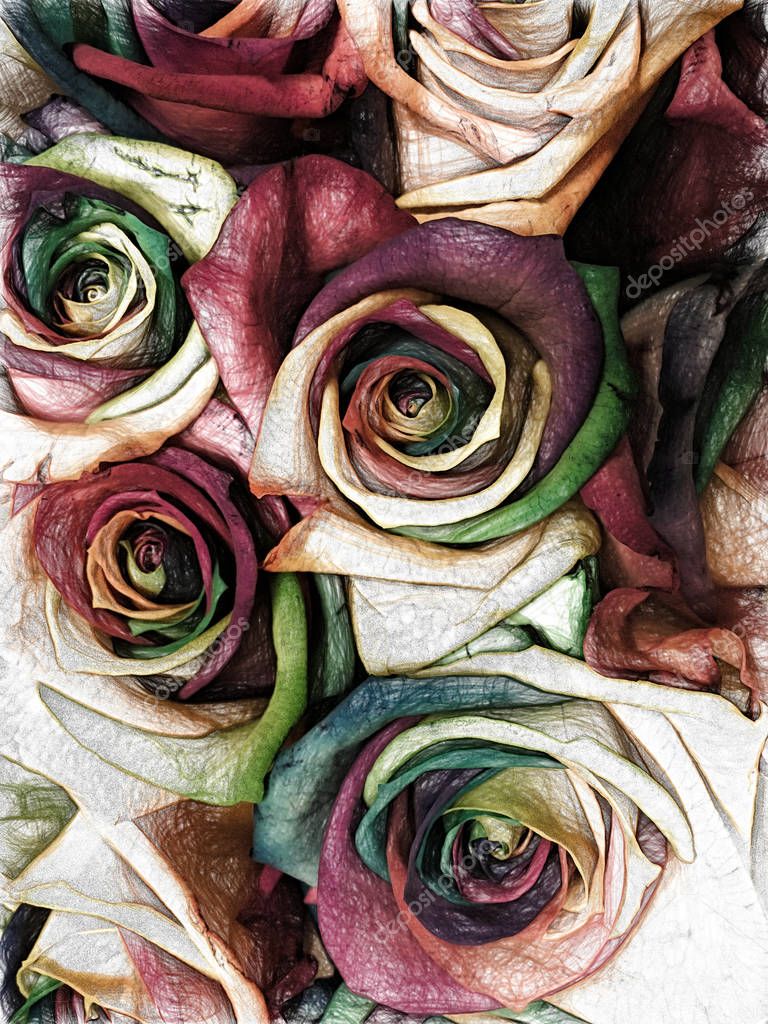 A bouquet of roses with petals of all colors of the rainbow. Multi-colored flower buds close-up. Texture artistic drawing. Art draw soft shadows style.