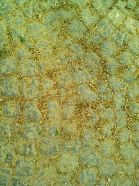 Pavement covered with earth, dust, pieces of green moss and small dry twigs. Square stones are in the shape of a fan. Texture artistic drawing. Art Draw intense oil style.