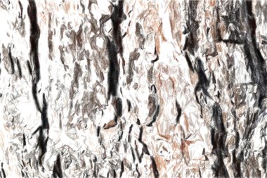 Eski bir ağacın gövdesindeki kabuk lar yerler tarafından doğranmış. Güneşli bir günde bir çam ağacı çok yakındır. Doku sanatsal çizim. Pastel stil.