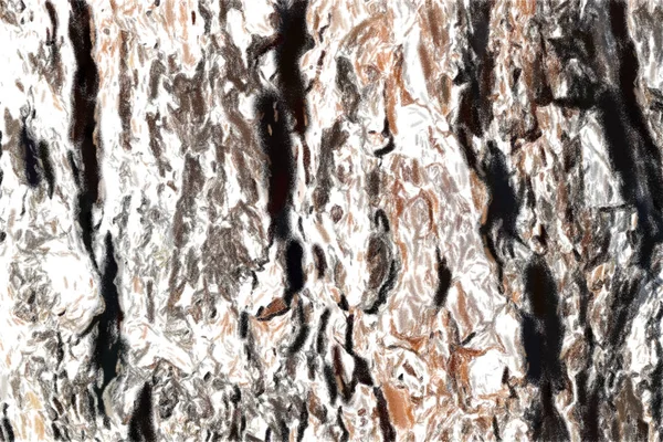 古い木の幹の樹皮は場所によって切り刻まれた 晴れた日の松の木はとても近い テクスチャ芸術的な描画 パステルフレスコスタイル — ストック写真