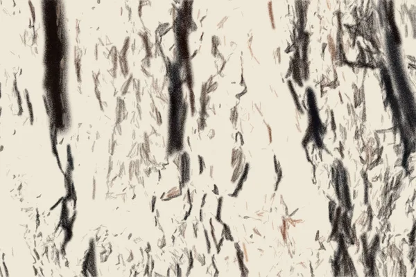 오래된 나무의 줄기에 껍질은 장소에 화창한 소나무는 가까이입니다 텍스처 드로잉 — 스톡 사진