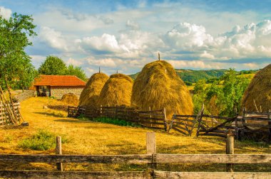Dağ köyü ahır. Kırsal kesimde yaz. Samanlıkta grubundaki. Sırbistan, Europe.