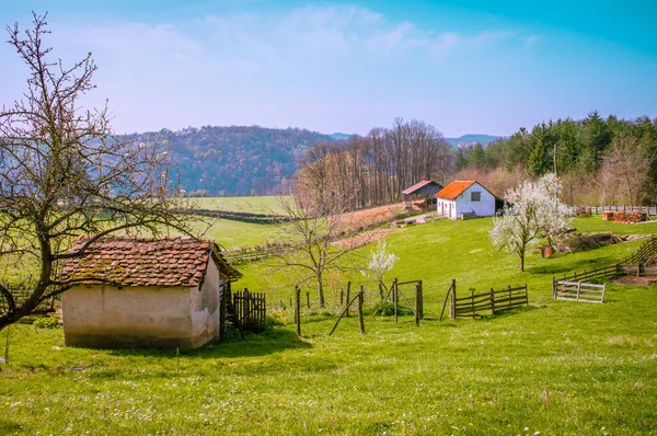 Village Landscape Mountain Region Serbia Europe Beautiful Countryside Farm Surrounded — Stock Photo, Image