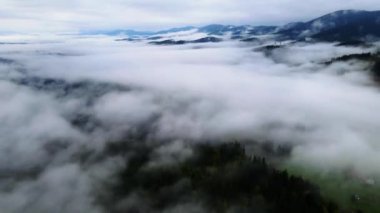 Dağ sisi zaman aşımı. Karpatlar. Ukrayna. Havadan