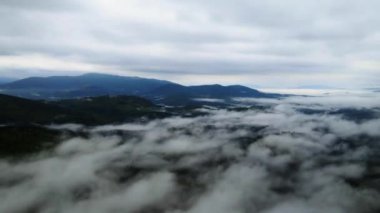 Dağ sisi zaman aşımı. Karpatlar. Ukrayna. Havadan