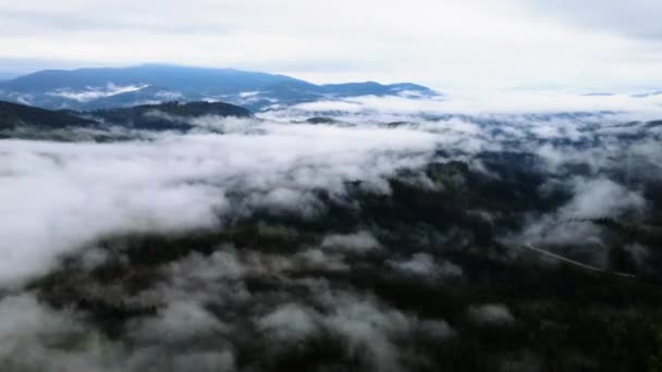 Χρόνος ομίχλης βουνού. Καρπάθια. Ουκρανία. Αεροσκάφος — Αρχείο Βίντεο