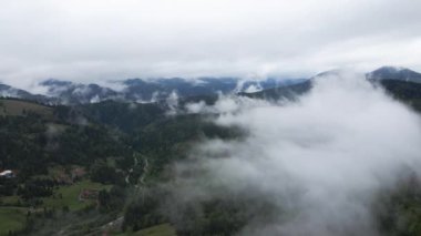 Dağlarda sis var. Karpat Dağları. Ukrayna. Havadan.