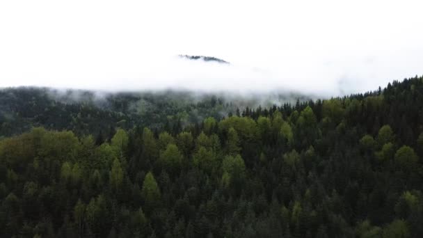 Niebla en las montañas. Montañas Cárpatas. Ucrania. Antena . — Vídeos de Stock