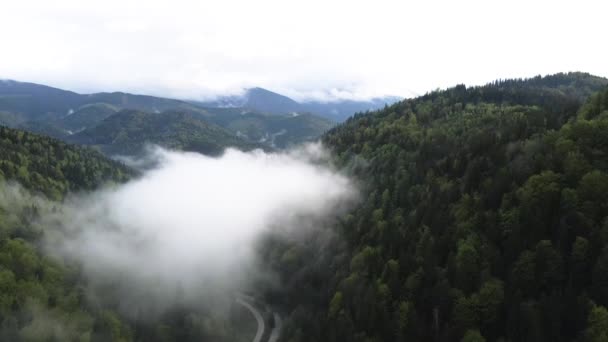 Brouillard dans les montagnes. Les montagnes des Carpates. Ukraine. Aérien . — Video