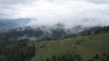 Dağlarda sis var. Karpat Dağları. Ukrayna. Havadan.
