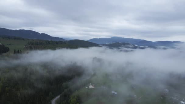 Fog in the mountains. Carpathian mountains. Ukraine. Aerial. — Stock Video