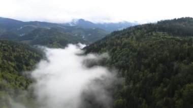 Dağlarda sis var. Karpat Dağları. Ukrayna. Havadan.