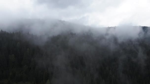 山の中の霧。カルパチア山脈。ウクライナだ。空中. — ストック動画