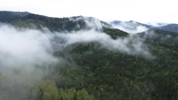 Niebla en las montañas. Montañas Cárpatas. Ucrania. Antena . — Vídeos de Stock