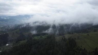 Dağlarda sis var. Karpat Dağları. Ukrayna. Havadan.