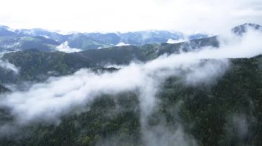 Dağlarda sis var. Karpat Dağları. Ukrayna. Havadan.