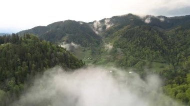 Dağlarda sis var. Karpat Dağları. Ukrayna. Havadan.