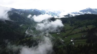Dağlarda sis var. Karpat Dağları. Ukrayna. Havadan.
