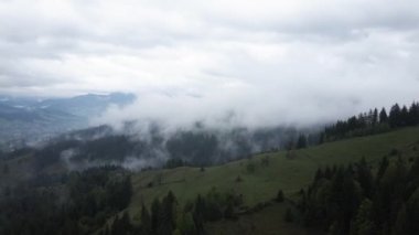 Dağlarda sis var. Karpat Dağları. Ukrayna. Havadan.