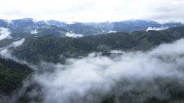 Dağlarda sis var. Karpat Dağları. Ukrayna. Havadan.