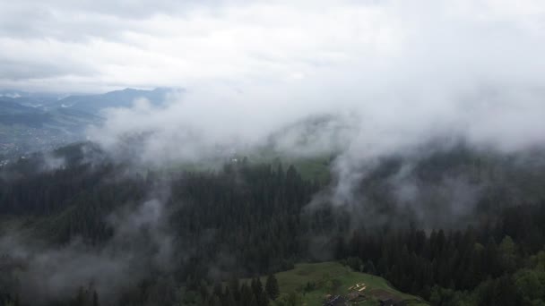 Nebbia in montagna. Montagne carpatiche. Ucraina. Aerea . — Video Stock