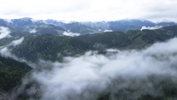 山の中の霧。カルパチア山脈。ウクライナだ。空中. — ストック動画