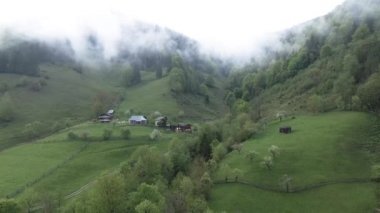 Dağlarda sis var. Karpat Dağları. Ukrayna. Havadan.