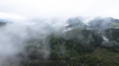 Dağlarda sis var. Karpat Dağları. Ukrayna. Havadan.