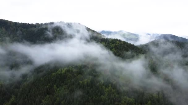 Kabut di pegunungan. Pegunungan Carpathian. Ukraina. Aerial. — Stok Video
